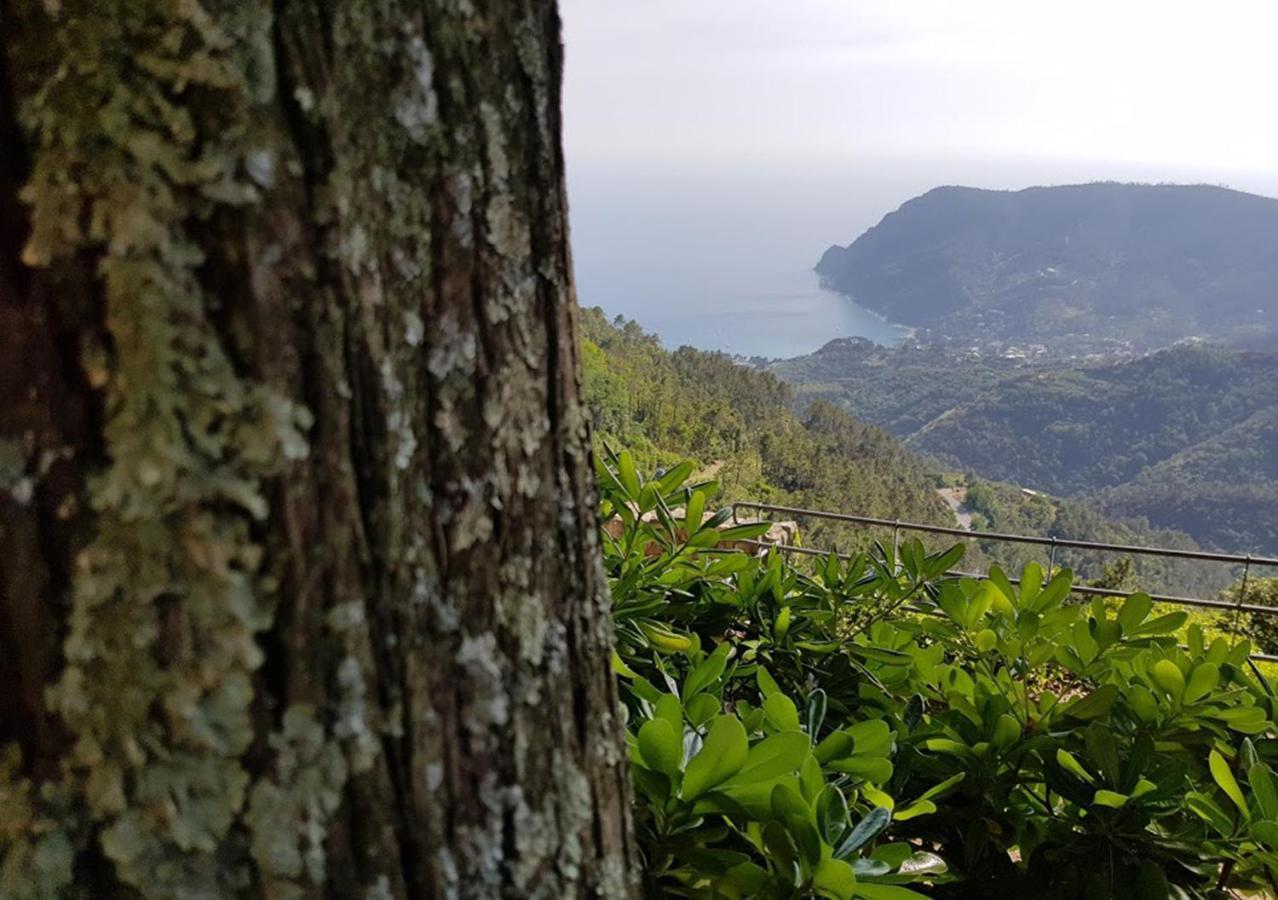 Santuario Ns Soviore Cinque Terre Monterosso al Mare Kültér fotó
